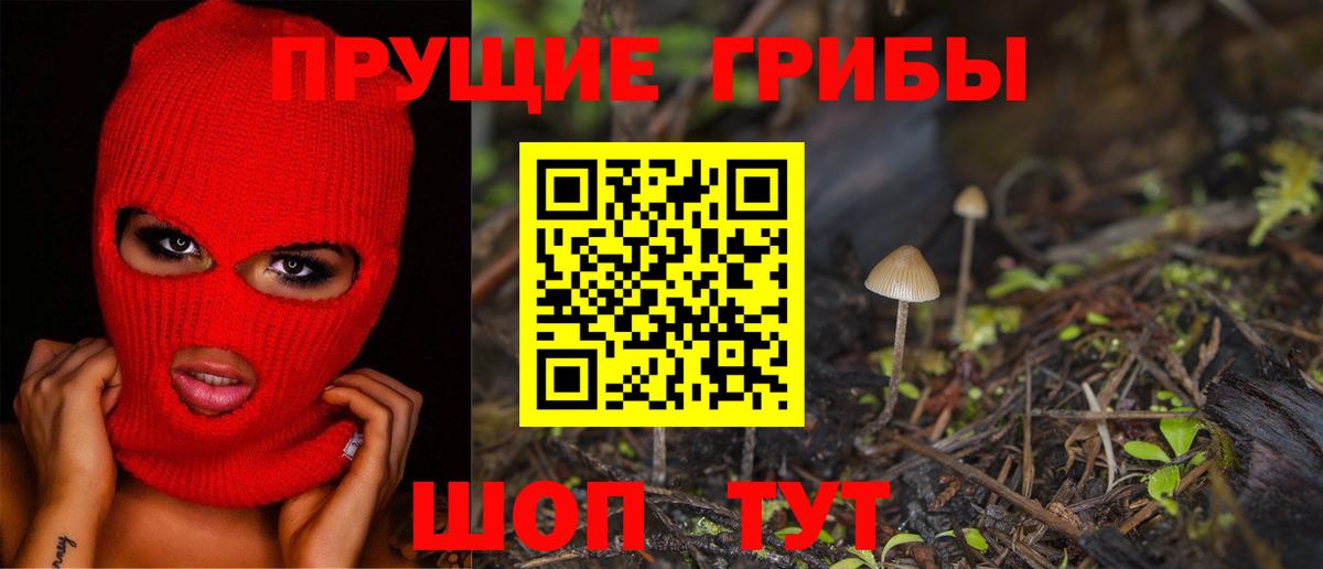 Галлюциногенные грибы GOLDEN TEACHER  Псилоцибиновые грибы GOLDEN TEACHER  Вход с VPN  даркнет сайт  Ачинск 